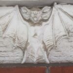 IMG_8727
